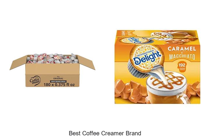 Top 15 Best Coffee Creamer Brand You Can’t Miss