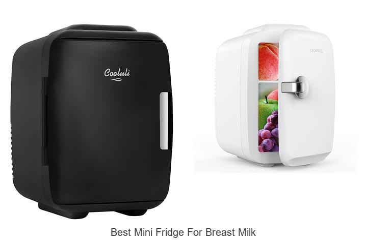 Top 15 Best Mini Fridge For Breast Milk You Must See