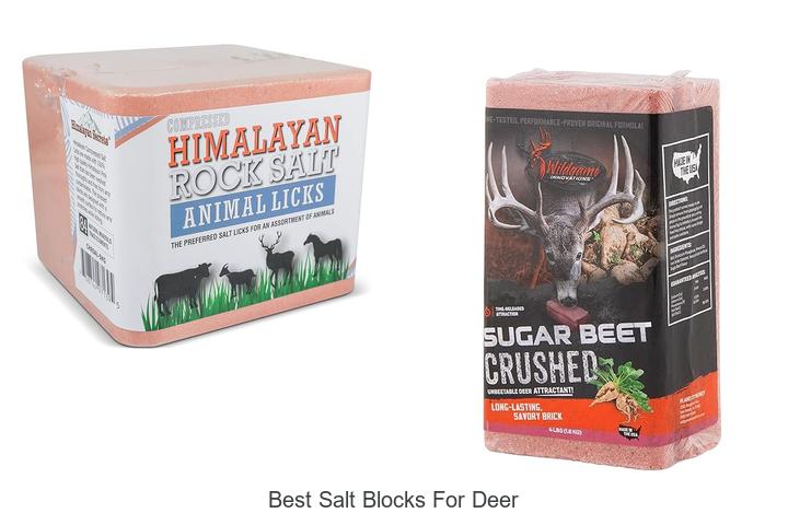 Top 15 Best Salt Blocks For Deer To Attract Them Instantly