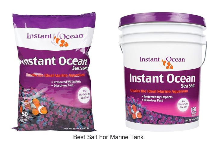 Top 15 Best Salt For Marine Tank For Vibrant Reef Life
