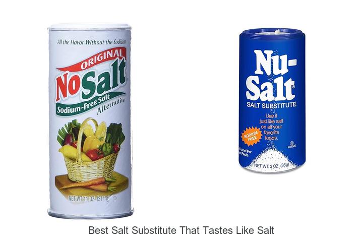 Top 15 Best Salt Substitute That Tastes Like Salt – Must Try!