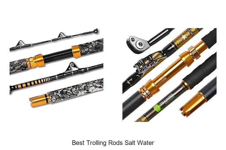 Top 15 Best Trolling Rods Salt Water For Monster Catches