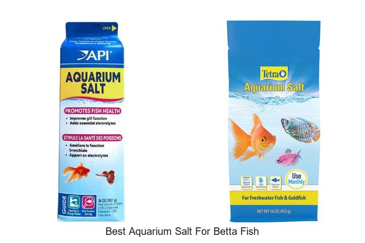 Top 15 Best Aquarium Salt for Betta Fish You Must Try!