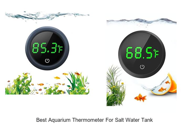 Top 15 Best Aquarium Thermometer for Salt Water Tank Picks