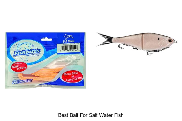 Top 15 Best Bait For Salt Water Fish You Can’t Miss!
