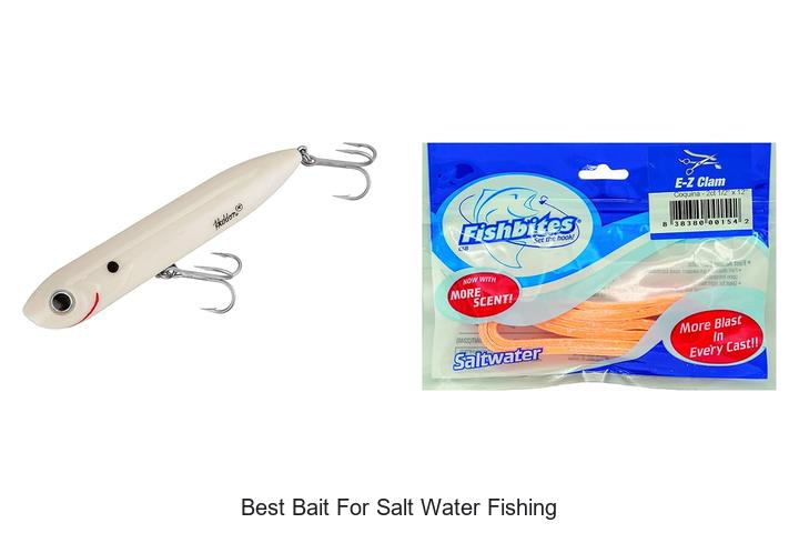 Top 15 Best Bait For Salt Water Fishing That Catch Big!