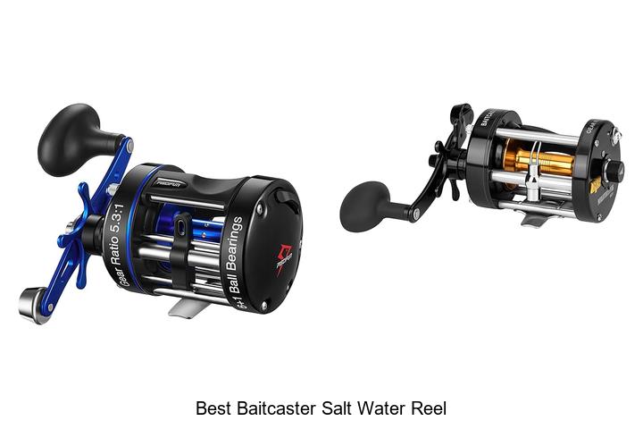 Top 15 Best Baitcaster Salt Water Reel You Can’t Miss!