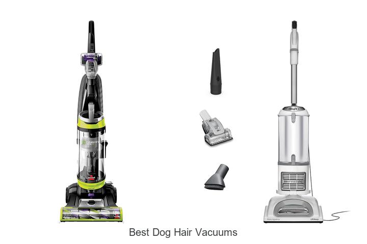 Top 15 Best Dog Hair Vacuums That Will Blow Your Mind!