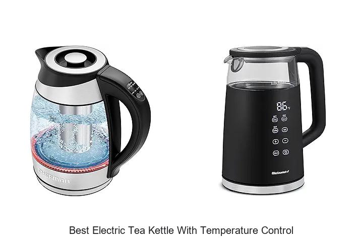 Top 15 Best Electric Tea Kettle With Temperature Control Revealed