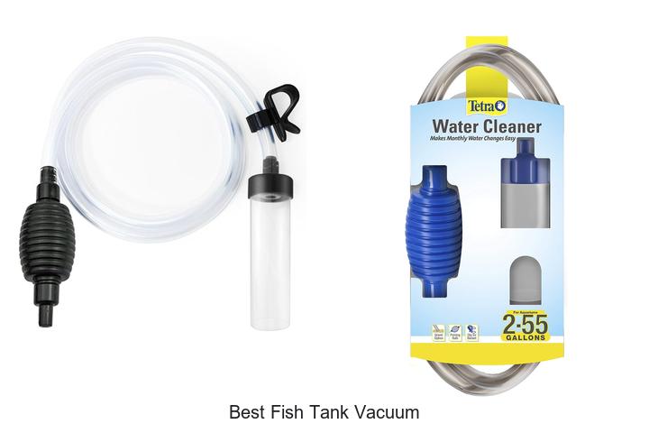 Top 15 Best Fish Tank Vacuum That Will Blow Your Mind!