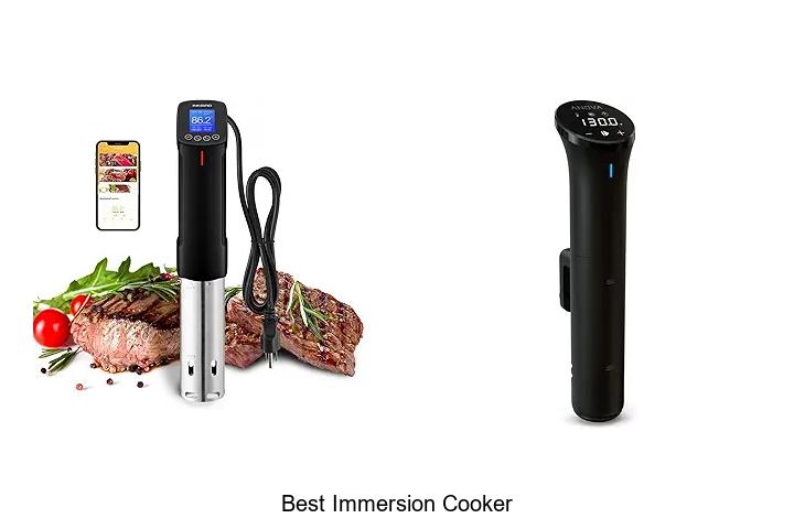 Top 15 Best Immersion Cooker You Can’t Live Without