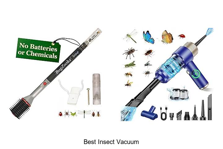 Top 15 Best Insect Vacuum That Will Blow Your Mind Today
