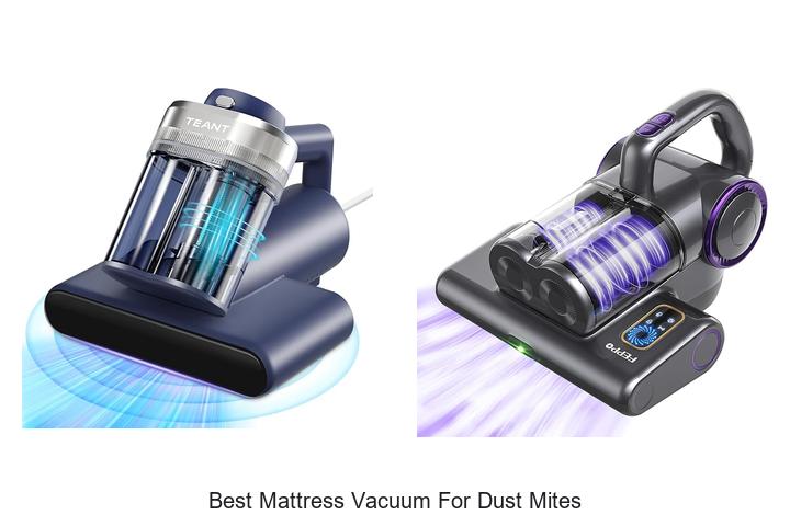 Top 15 Best Mattress Vacuum for Dust Mites You Need Now