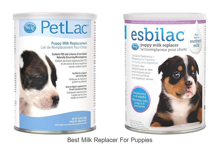 Top 15 Best Milk Replacer For Puppies You Must Try