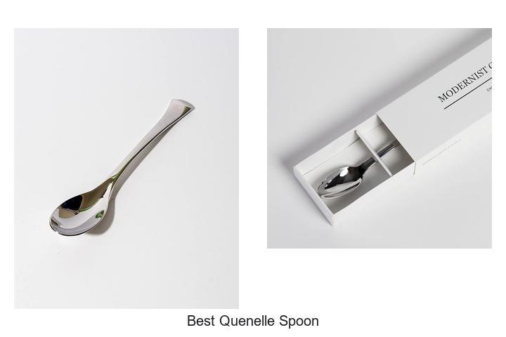 Top 15 Best Quenelle Spoon You Can’t Live Without