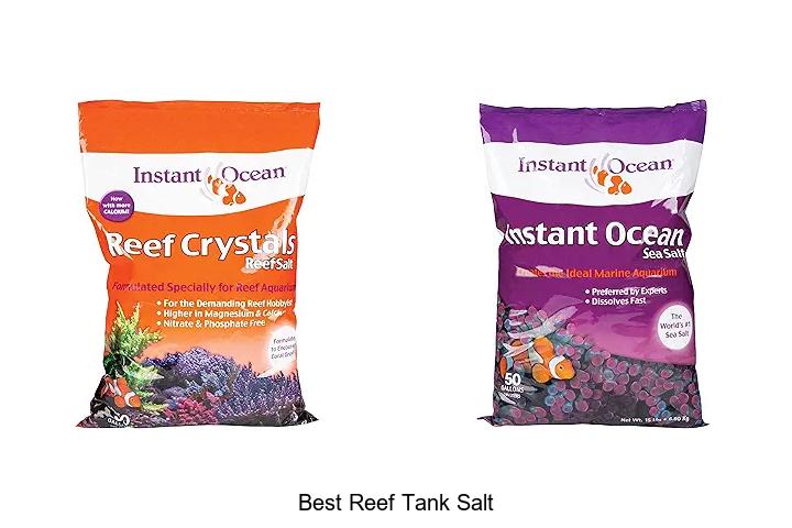 Top 15 Best Reef Tank Salt That Will Transform Your Aquarium