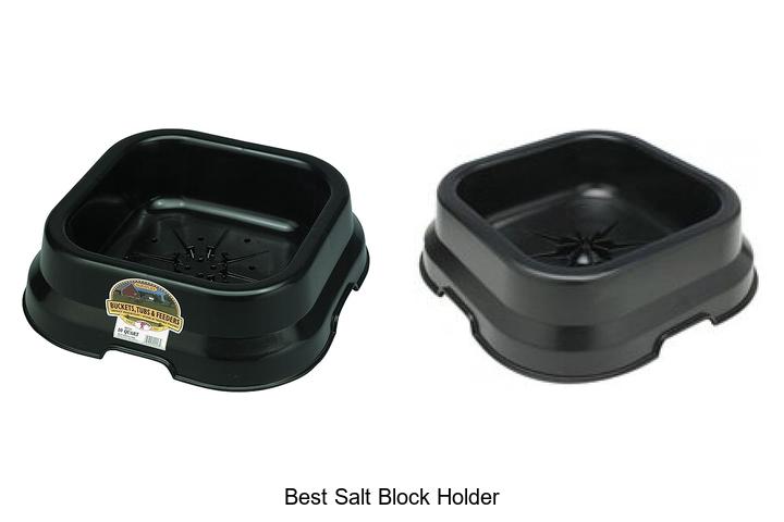 Top 15 Best Salt Block Holder You Can’t Live Without