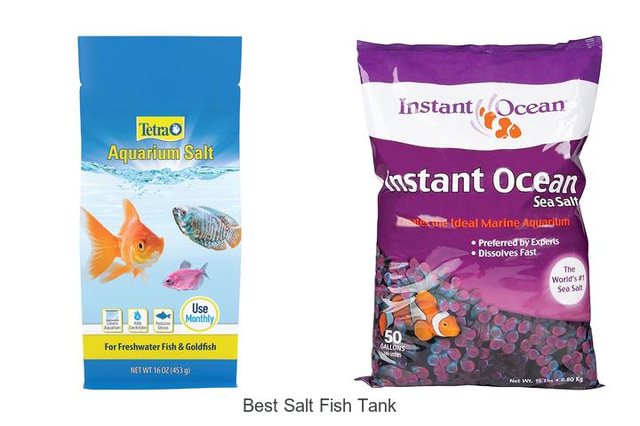 Top 15 Best Salt Fish Tank Hacks You Can’t Miss Today
