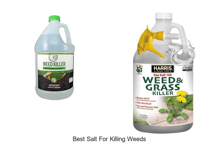 Top 15 Best Salt For Killing Weeds That Really Works!