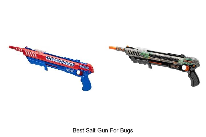 Top 15 Best Salt Gun For Bugs That Will Blow You Away
