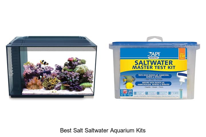 Top 15 Best Salt Saltwater Aquarium Kits You Can’t Miss