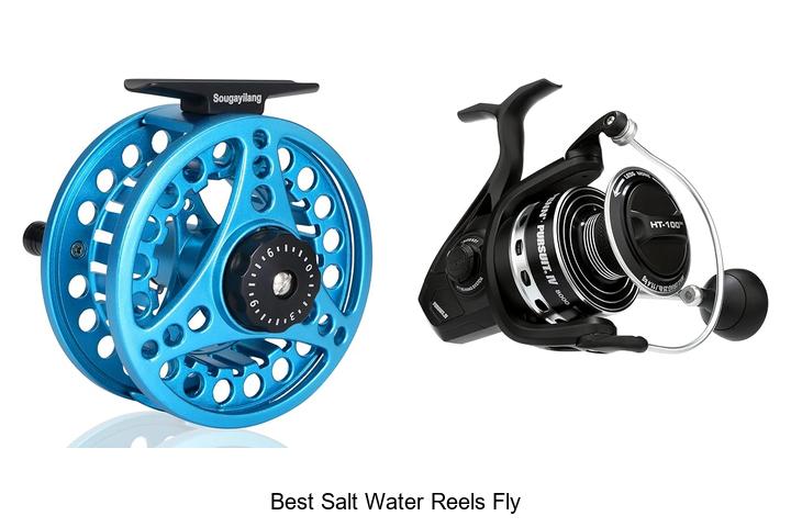 Top 15 Best Salt Water Reels Fly That Will Blow Your Mind