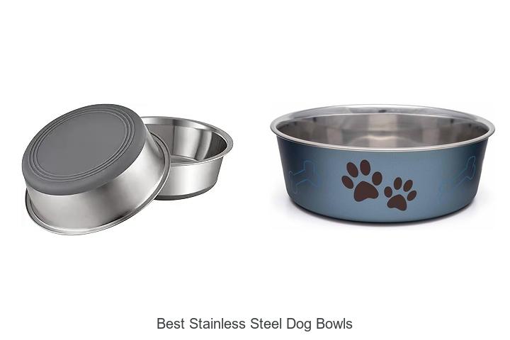 Top 15 Best Stainless Steel Dog Bowls Dogs Love Most