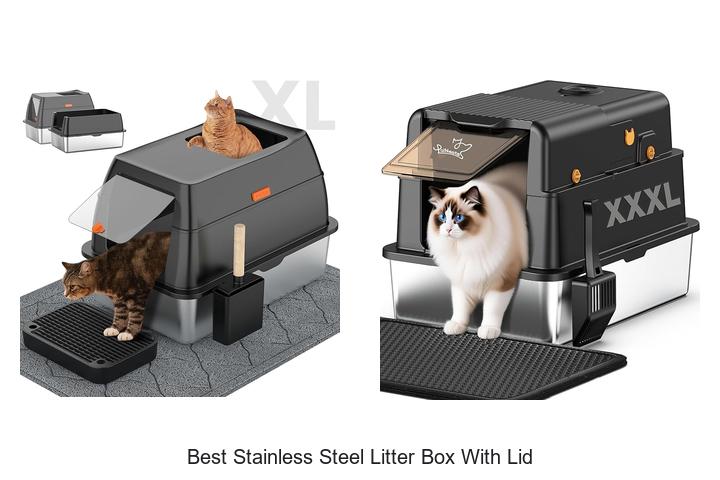 Top 15 Best Stainless Steel Litter Box With Lid Reviews