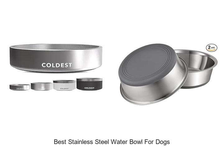 Top 15 Best Stainless Steel Water Bowl for Dogs Revealed!