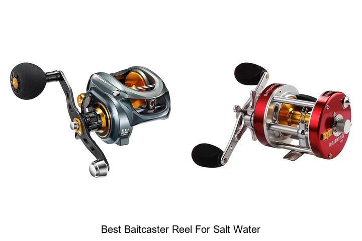 Top 15 Best Baitcaster Reel For Salt Water That Crush Fish