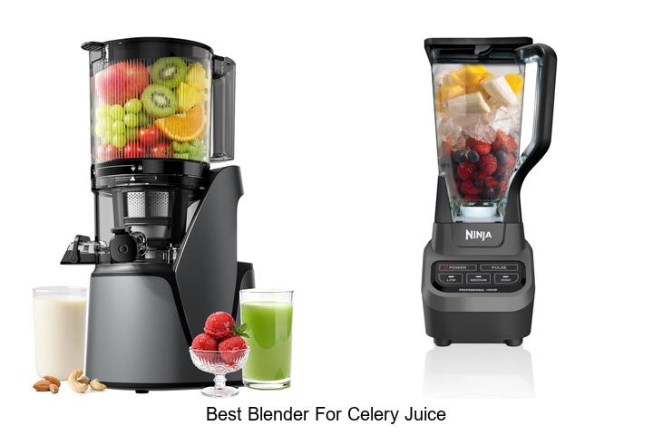 Top 15 Best Blender For Celery Juice You Must Try Today!