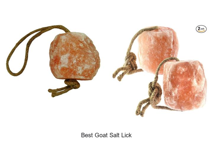 Top 15 Best Goat Salt Lick That Will Boost Your Herd Now!
