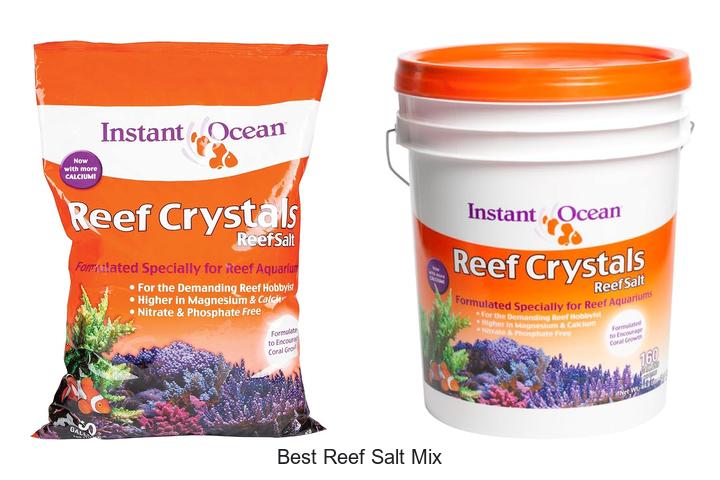 Top 15 Best Reef Salt Mix You Can’t Afford to Miss