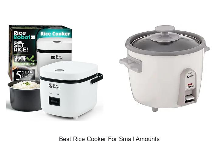 Top 15 Best Rice Cooker for Small Amounts You Need Now