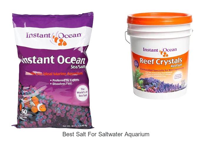 Top 12 Best Salt For Saltwater Aquarium You Can’t Miss!