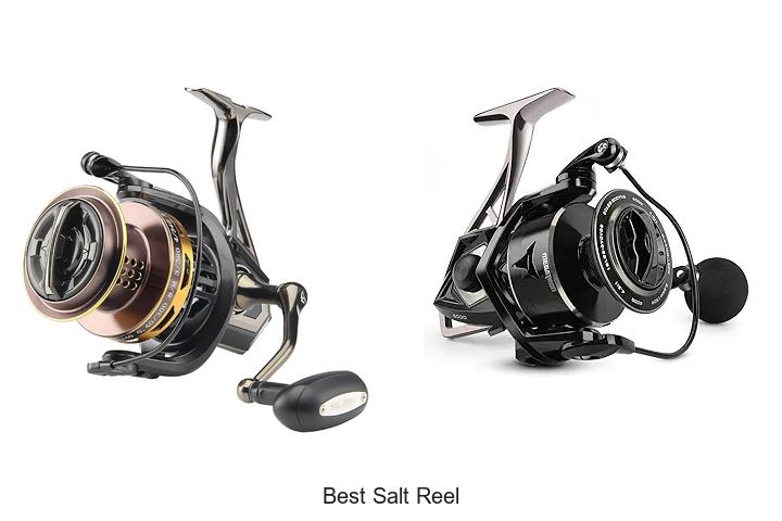 Top 15 Best Salt Reel That Will Change Your Fishing Game