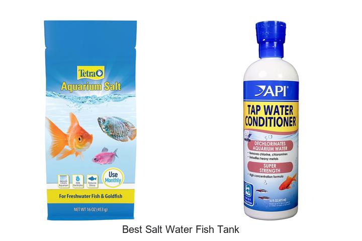 Top 12 Best Salt Water Fish Tank Hacks You Can’t Miss!