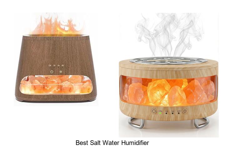 Top 15 Best Salt Water Humidifier You Can’t Miss Today