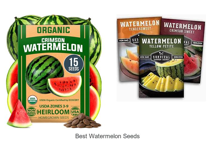 Top 15 Best Watermelon Seeds You Can’t Miss Growing!